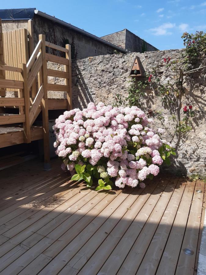Nature - Gite Entierement Neuf A 100M De La Plage Wimereux Exterior foto
